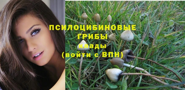 скорость Дмитриев