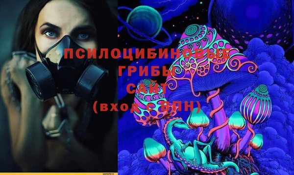 МДПВ Дмитров
