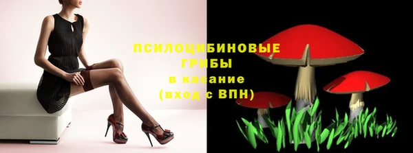МДПВ Дмитров