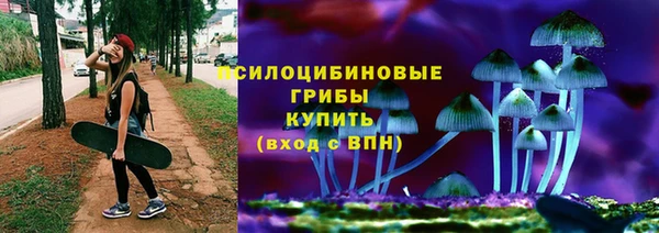 МДПВ Дмитров